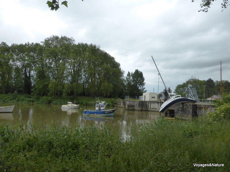 En 2014, nous avons descendu la Loire en camping-car, au plus près du fleuve, depuis la source jusqu'à l'estuaire.