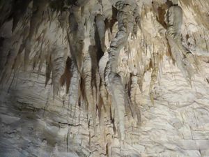 Les grottes de WAITOMO et la ville de RAGLAN-2020-