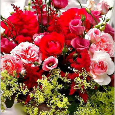 Images fleurs - bouquet