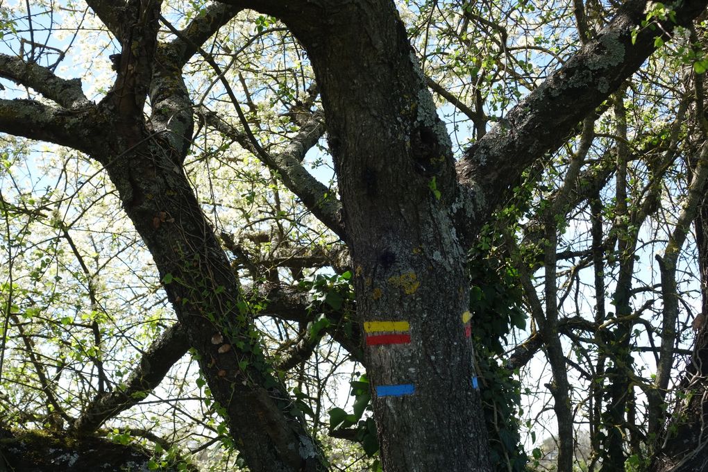 Dimanche 17 avril 2022,  « La Chalouette en herbes »