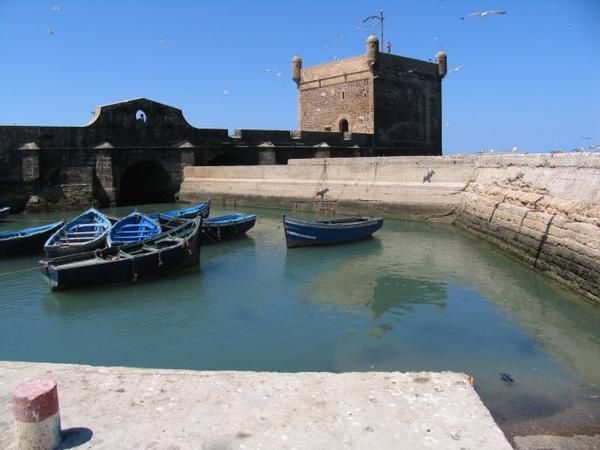 quelques 106 photos d'Essaouira, de son port, de ses mouettes et de ses chats plus ou moins mités