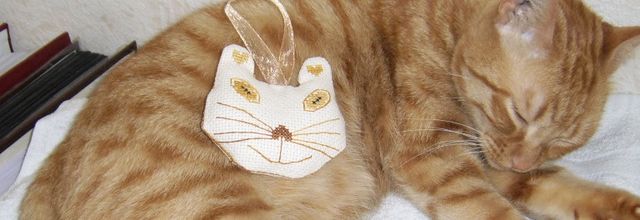 Photos de vos chats