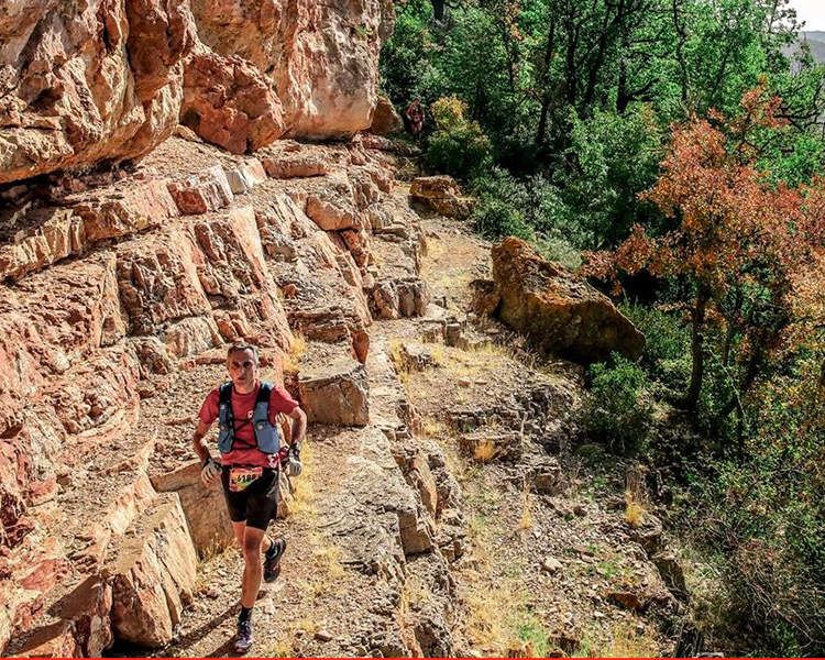 Le Festival des Templiers 2019 (résultats)