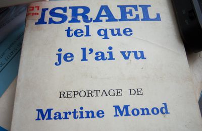 Martine Monod, Israël tel que je l’ai vu