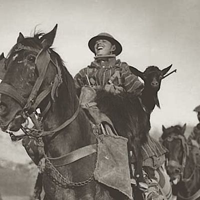 Sénégalais, goumiers et partisans