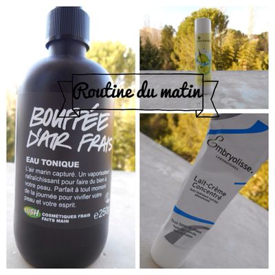 [ Routine ] soin du matin sans silicone