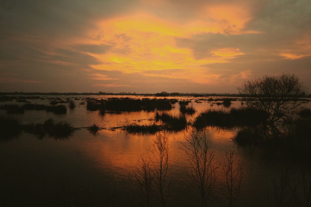 Album - Briere au petit matin