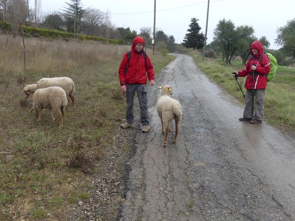 Talairan : sur les traces du facteur Fév 21