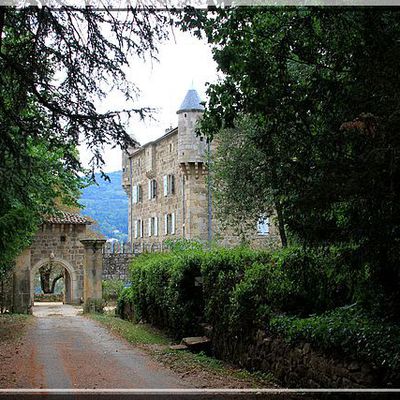 Château de CHAZOTTE - Arlebosc