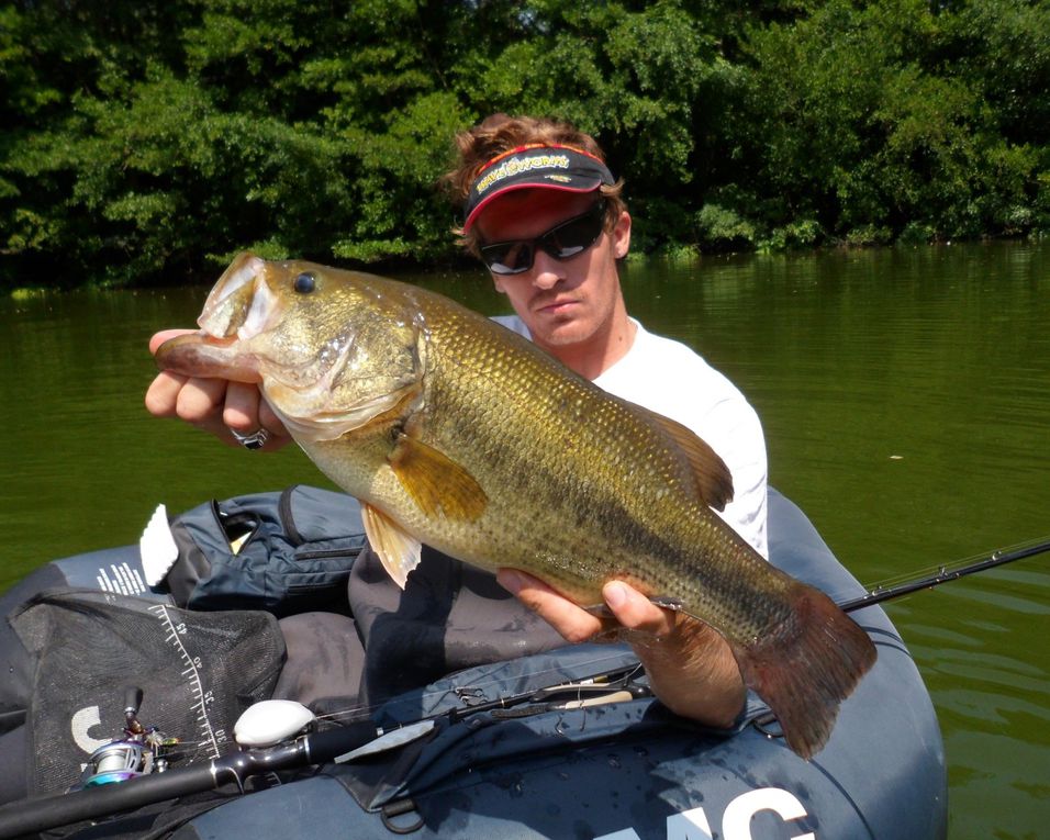 Une séléction de photos de black-bass bourguignons ! Manque hélas quelques gros pépères !