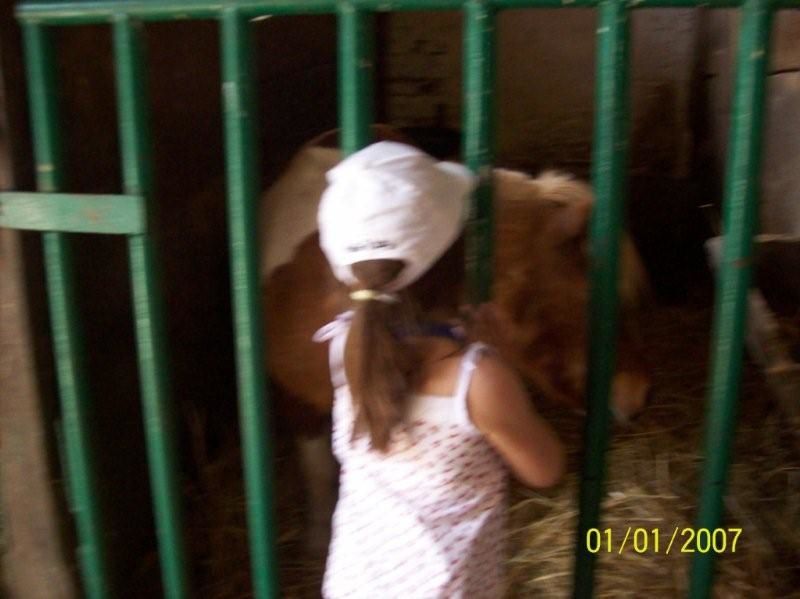 A travers ces photos, vous allez (re)découvrir les activitées réalisées par vos enfants au cours de cette année très riche !