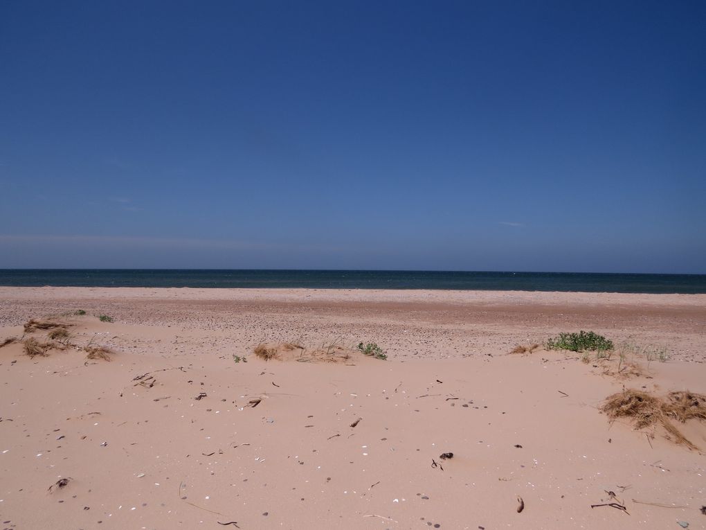 TROIS APRÈS-MIDI À LA PLAGE , DE MAGNIFIQUE PLAGES ......