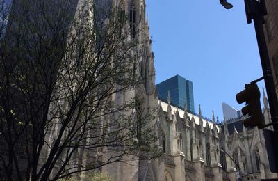 Cathédrale Saint Patrick - New York