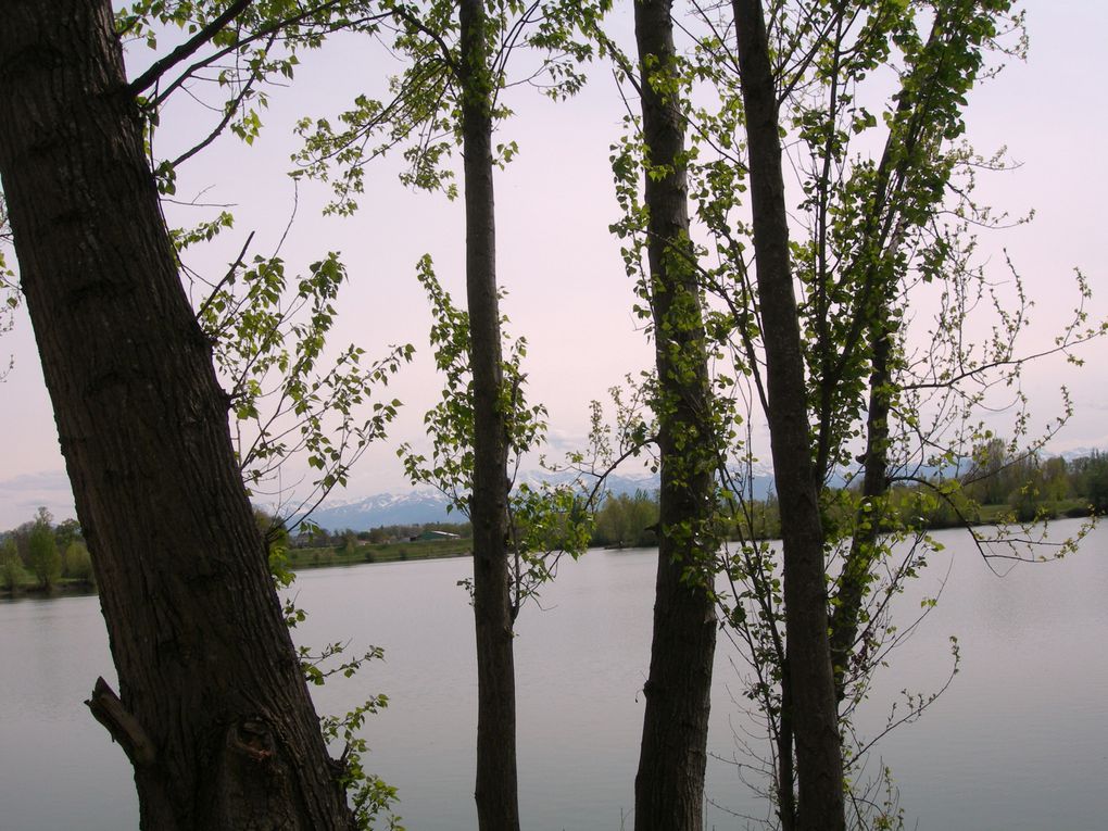 Promenade à quelques kilomètres de Tarbes très agréable, fréquentée aussi par les pêcheurs.