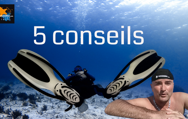 5 conseils plongée sous-marine pour construire son expérience 