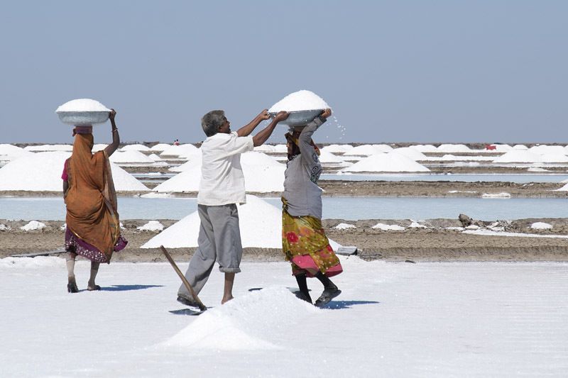 les travailleurs du sel