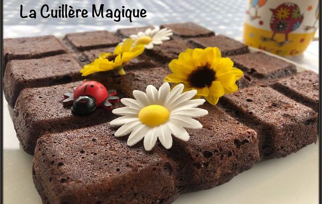 Gâteau au chocolat et à la courgette