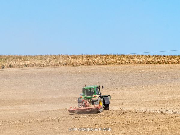 Moisson et préparation des sols dans la Plaine des Vosges