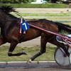 Lundi 24 novembre : Tiercé à Vincennes - Prix Marcel Laurent – Attelé, 2100 mètres Autostart