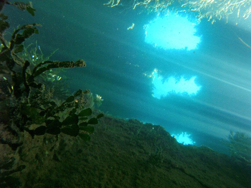 Que des atolls , Majuro tres urbanise,les gros thoniers senneurs , Jaluit , les outriggers canoes  , les restes de la guerre du Pacifique ...
