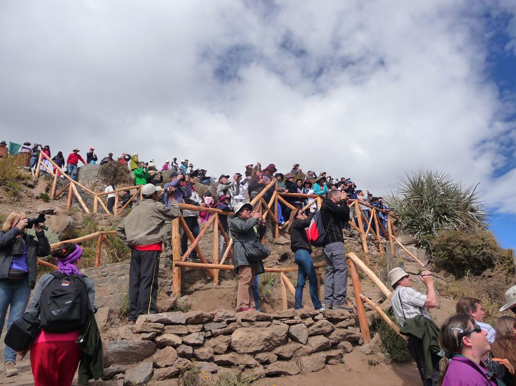 Album - 24- Arequipa-Canyon-de-Colca