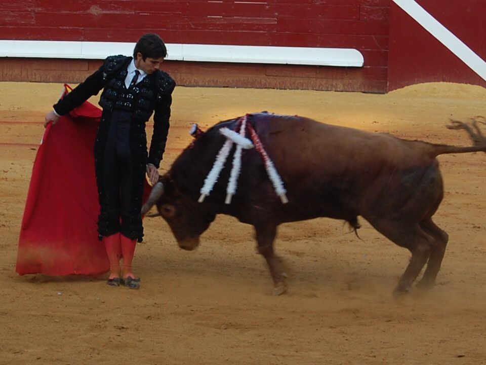 Album - Dax - Corrida du 16 août 2009