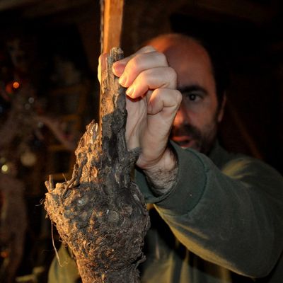 15 photos du 3 janvier 2016