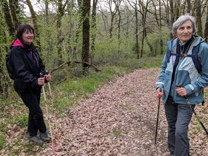 Assurément, la marche nordique met de bonne humeur