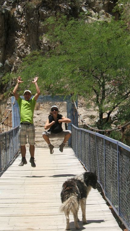 Album - Arequipa et Canyon de Colca