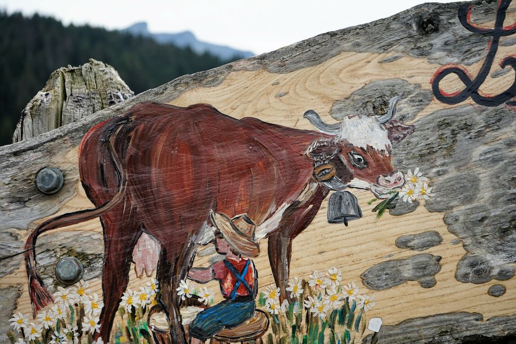 Bienvenus à la ferme auberge de la Croix du Planey (l'adresse me parait bonne).