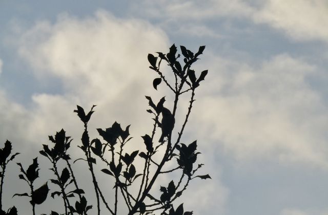 ciel du 2 décembre 