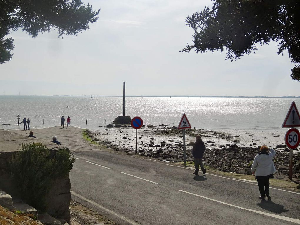 Sortie à Noirmoutier