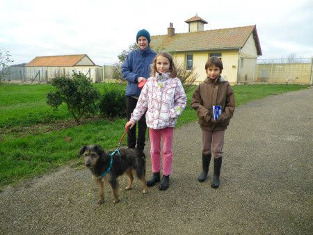 Album - CHIENS-ADOPTES-decembre-2012.janvier .février.2013