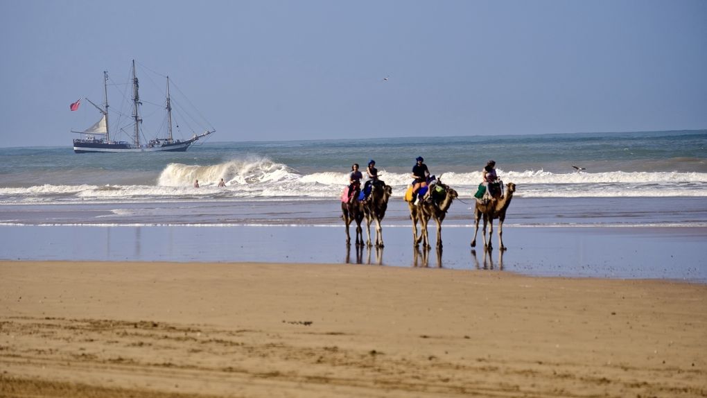 En dehors de la ville, en longeant la plage, on peut apercevoir quelques touristes à dos de chameaux, arpenter la plage, ici accompagnés par le fameux 3 mâts, dont je ne saurai jamais qui il était ni ses merveilleux voyages.