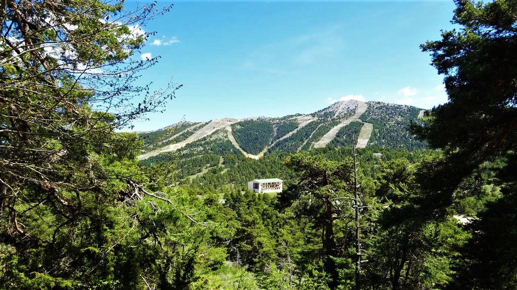 Circuit des Pivoines
