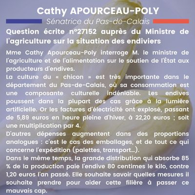 Question écrite de Cathy Apourceau-Poly sur la situation des producteurs d'endives