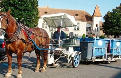 Une collecte écologique au pas du cheval de trait