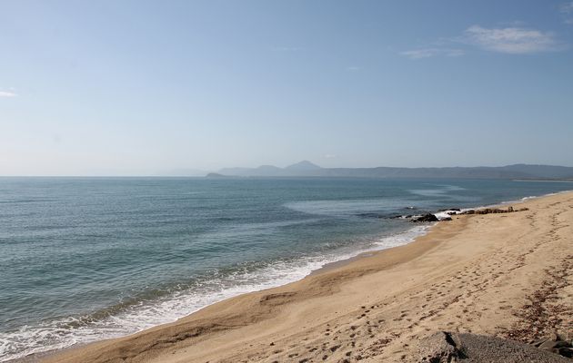 Cape Tribulation