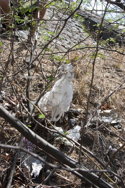 Méthode de suivi environnemental au Cap la Houssaye (Réunion) permettant d’évaluer l’état de santé d’un récif et de détecter des changements
écologiques liés à des perturbations naturelles ou humaines.