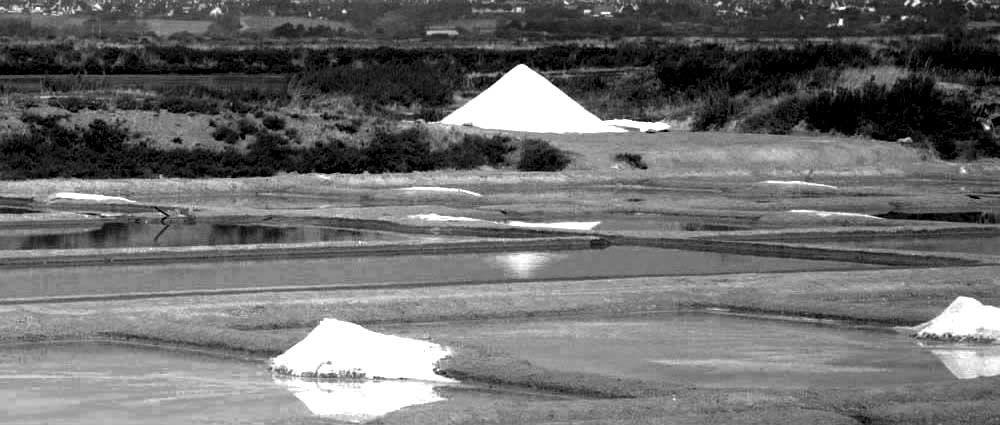 Album - Les Marais-salants de Guerande en noir et blanc