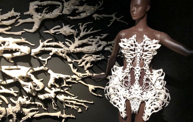 Iris Van Herpen, robes minis