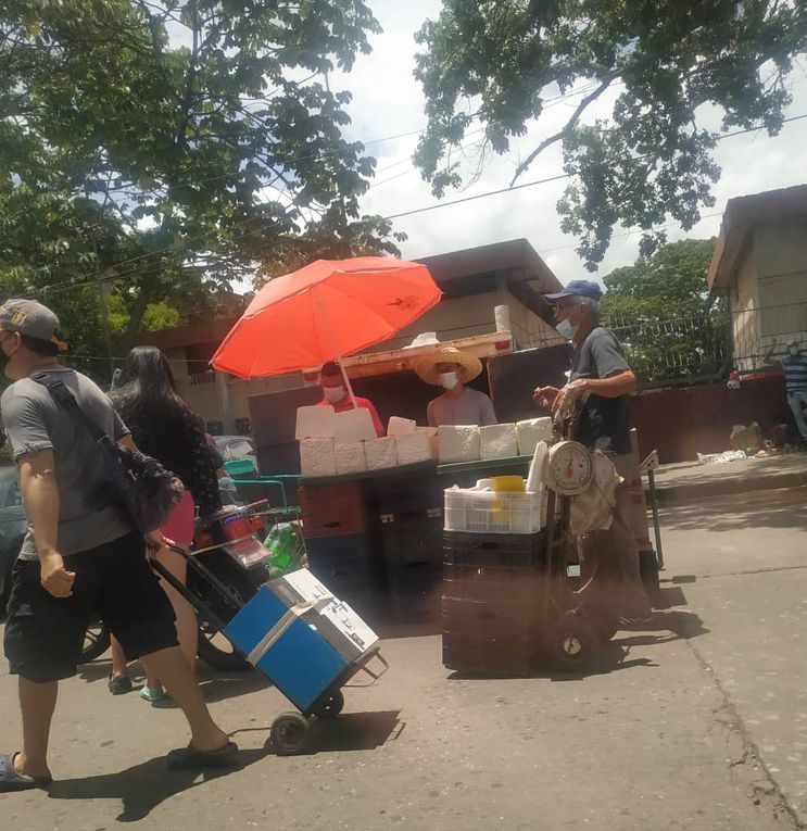 Piden desalojo de vendedores ambulantes en alrededores del Mercado Periférico de Valencia (+Fotos)