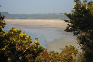 le jaune dans la palette de couleurs bretonne 