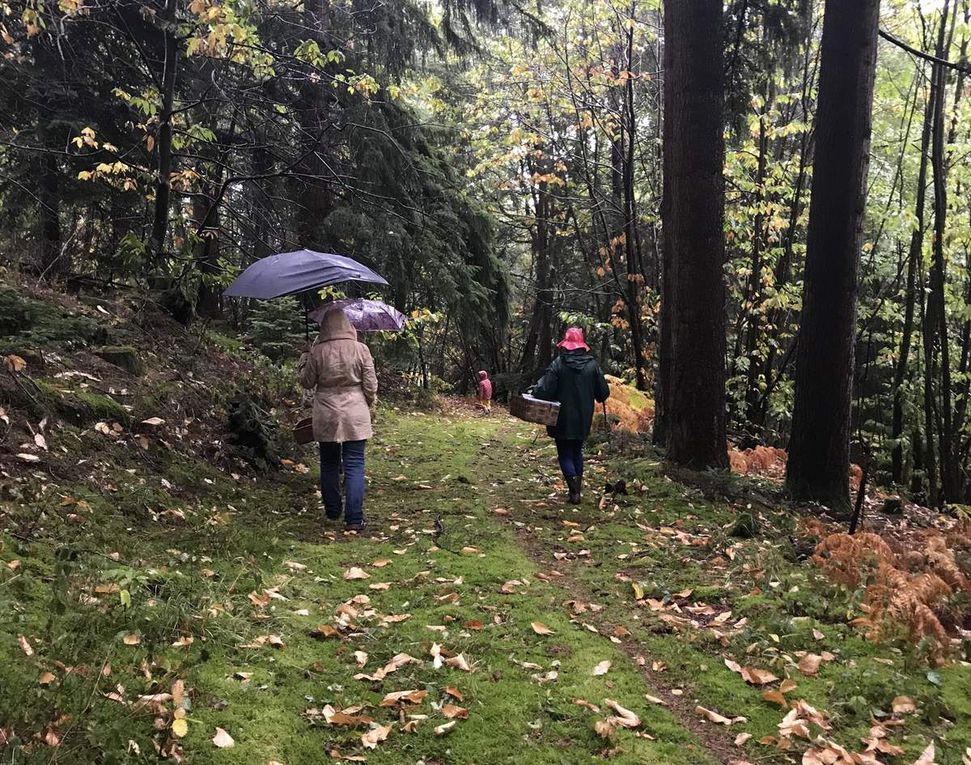 2018 - Sortie mycologique à Cayrigus, Viazac (8 photos)