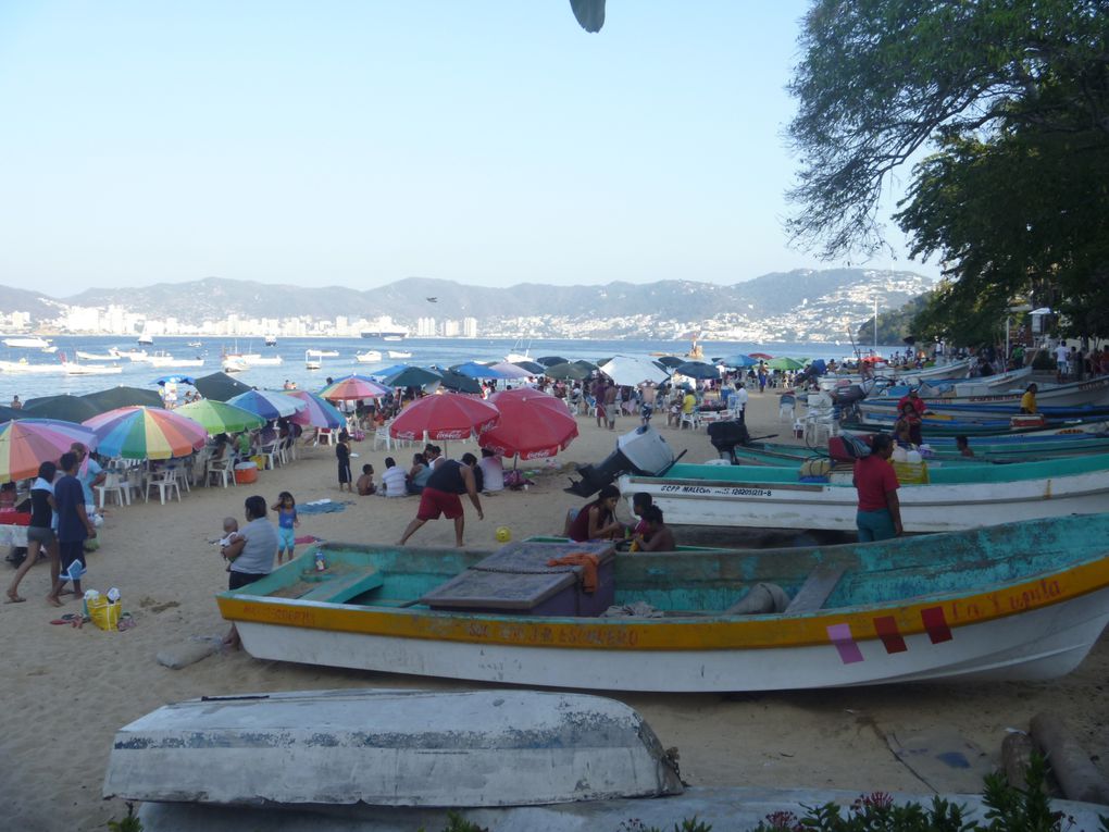 Album - 127--Acapulco