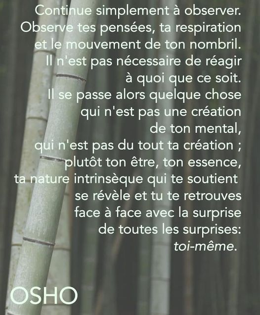 Nouvelle Belle Citation D Osho Citoyen Du Laniakea Over Blog Com