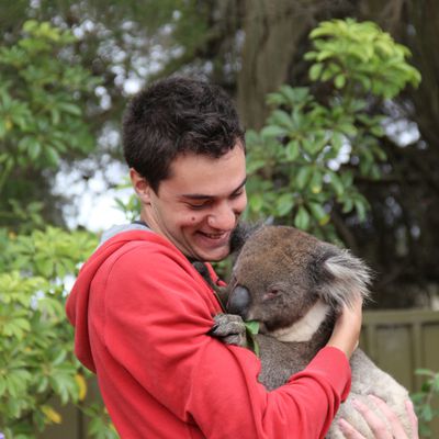 24 janvier : AdoptUnKoala.com