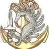 R.P.I.M.A Régiment de parachutiste infanterie marine (actuel)