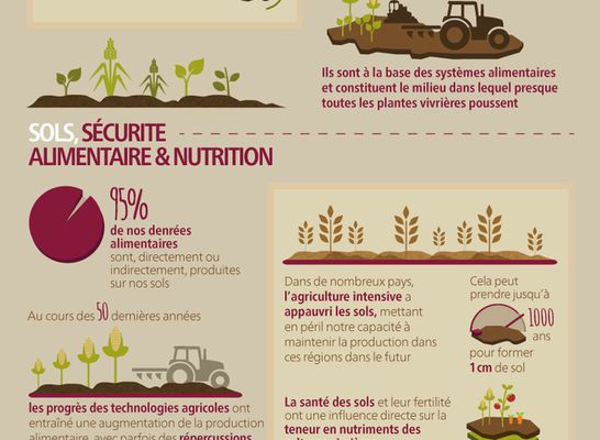 Des sols sains sont le fondement d’une production alimentaire saine, FAO.