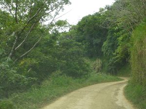 La route à horaires et le col de Pethécara (photo 2)